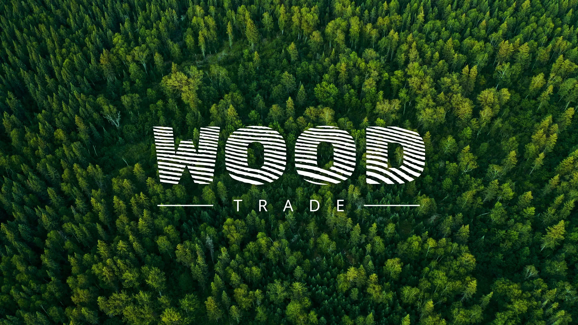 Разработка интернет-магазина компании «Wood Trade» в Тарусе